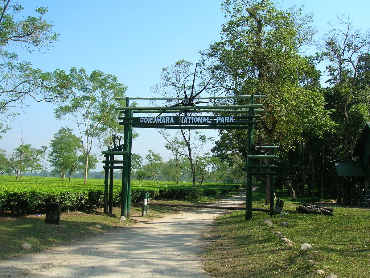 Gorumara Jungle Safari Charges