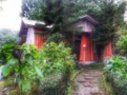 Deluxe Cottage Non-AC Room