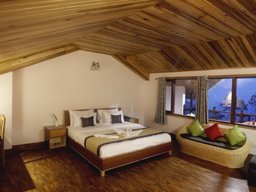 ATTIC DUPLEX Non-AC Room