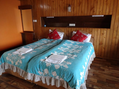  Deluxe View Facing Non-AC Room
