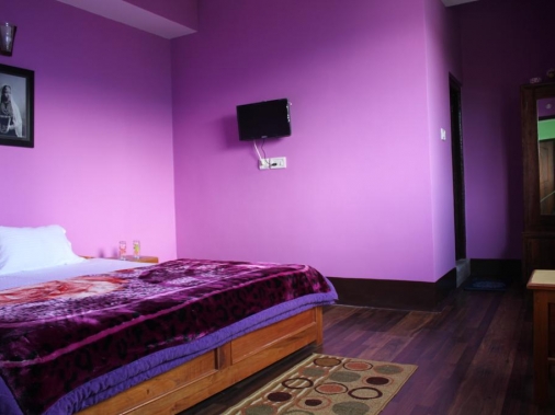 Super Deluxe (Double Bed) View Room Non-AC Room