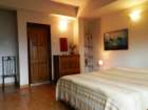 Forest View Single Rooms Non-AC Room