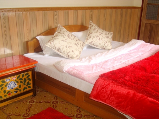 Deluxe Room Non-AC Room