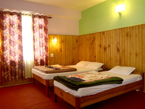 Hill View Triple Room Non-AC Room