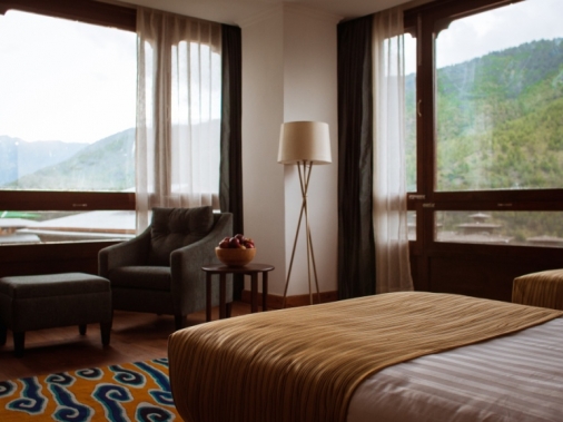 DELUXE Non-AC Room