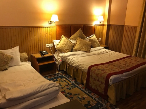 Deluxe View Room Non-AC Room