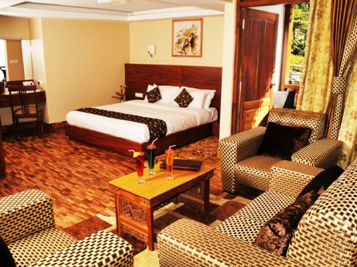 Suite Non-AC Room