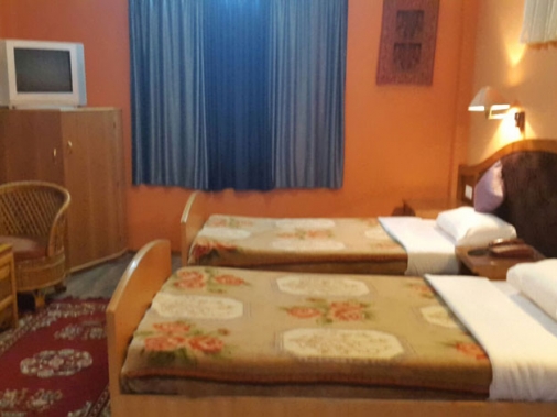 Exclusive Cottages Non-AC Room