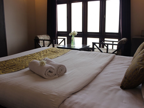 Deluxe Room Non-AC Room