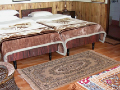 Pine Wood Double occupancy Non-AC Room