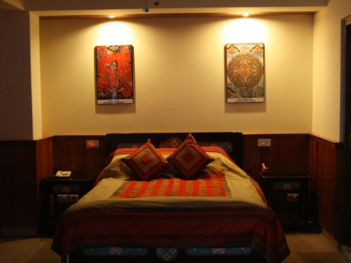 Standard Room Non-AC Room