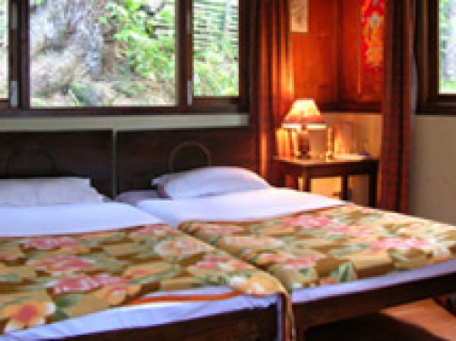 Tree Tops Double Non-AC Room