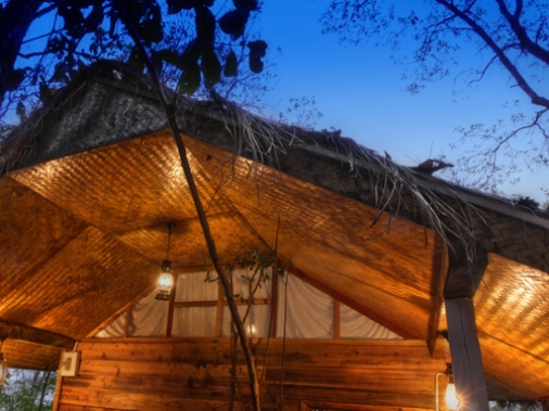 Tree House Non-AC Room