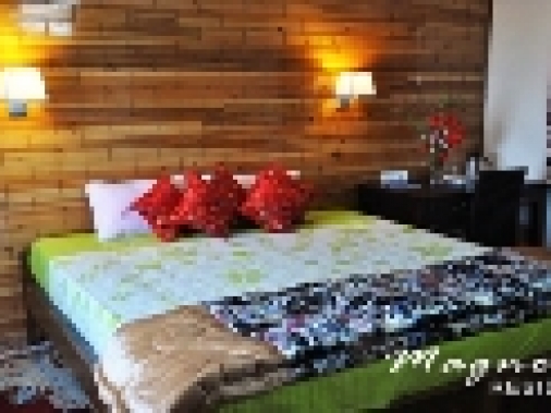 Double Executive Non-AC Room