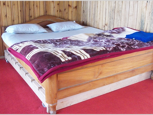Double Bed Deluxe (Gr. Floor) Non-AC Room