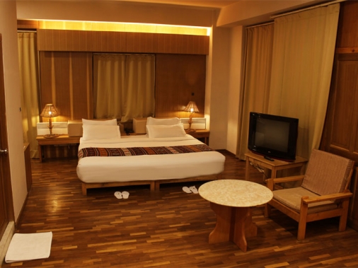 Standard Room Non-AC Room