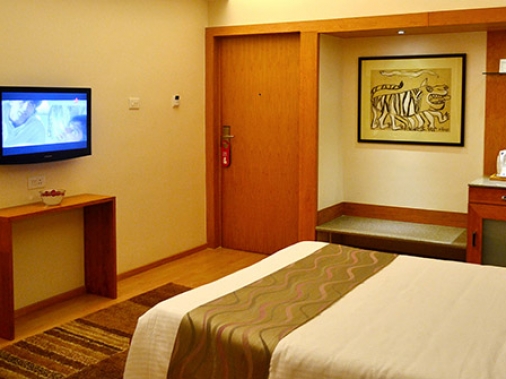 Premier Suite AC Room
