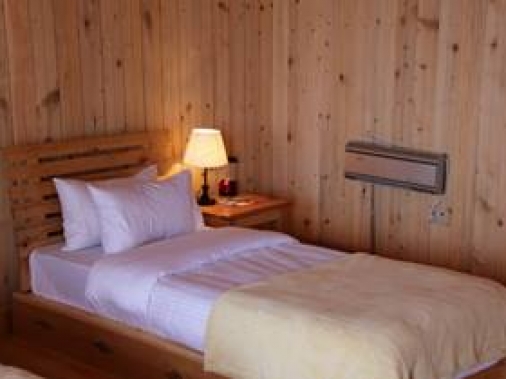 Standard Non-AC Room
