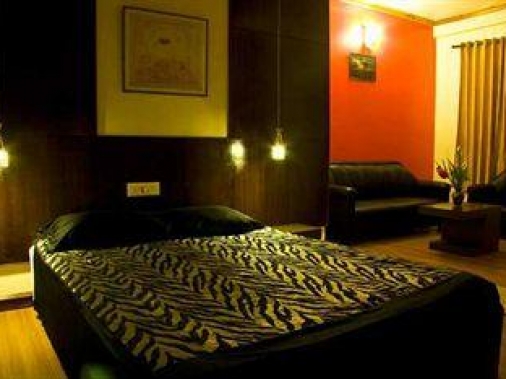 Premium Non-AC Room