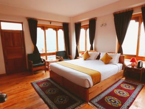 Deluxe ( premium) Non-AC Room