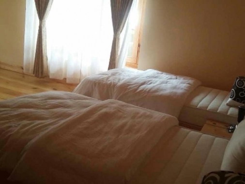 Standard Room Non-AC Room