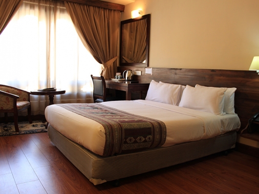Standard Double Non-AC Room