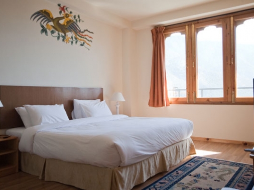 DELUXE SUITE Non-AC Room