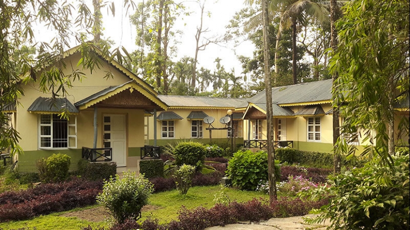 Tuskers Den Forest Resort