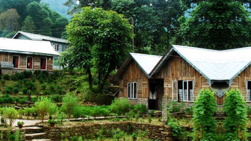 Cherry Village Homestay