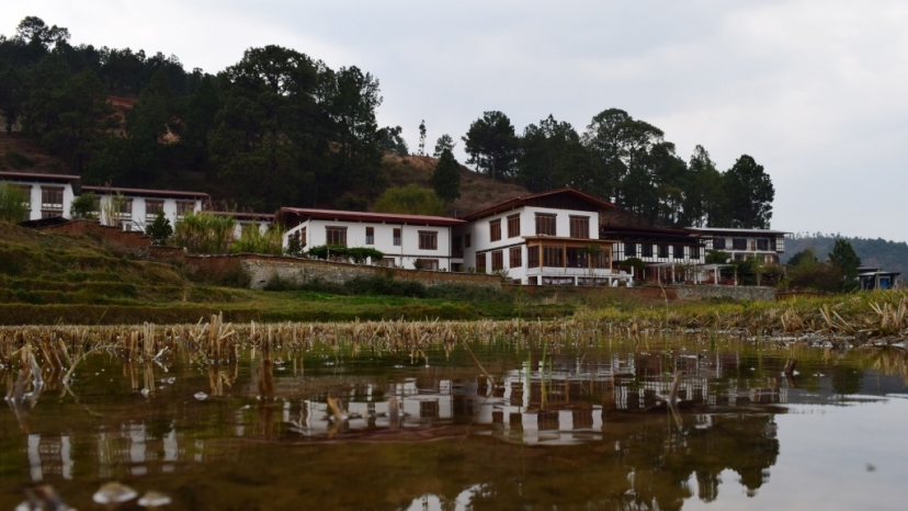 Drubchhu Resort