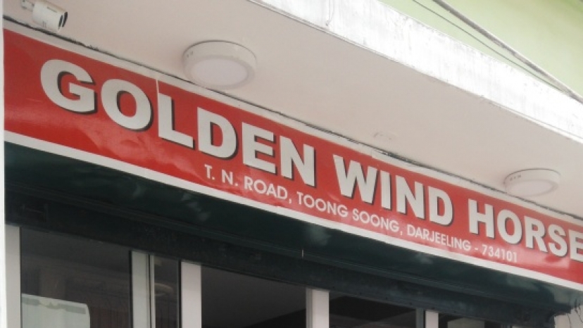 Golden Wind Horse