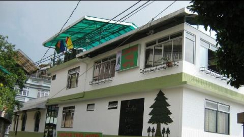 Juniper Tree Hotel
