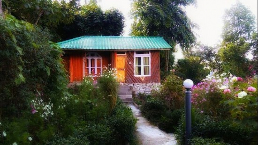 Wild Flower Retreat