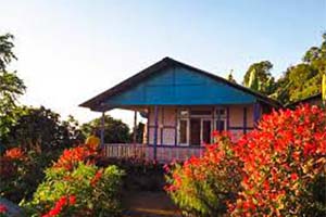 Bees Gaon - Remote location in Darjeeling