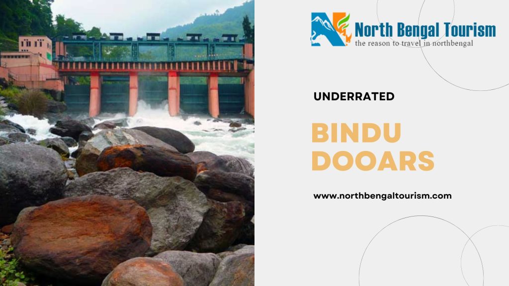View of Bindu Dooars near Bhutan border