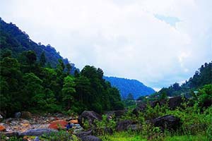 Bindu - Remote location in Dooars