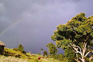 Borong - Tranquil escape in Sikkim