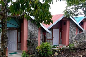 Chota Mangwa - Non-touristy place in Darjeeling