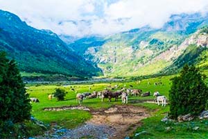 Chuikhim - Untouched destination in Kalimpong