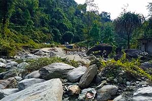 Dalim Khola - Serene destination of Dooars