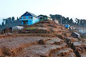 Dhotrey - Hill escape in Darjeeling