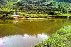 Dilaram - Offbeat destination in Darjeeling
