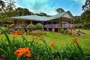 Fagu Tea Estate - Unexplored spot near Dooars