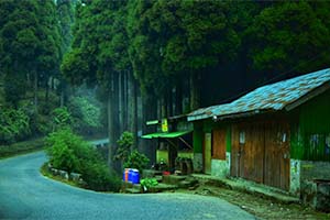 Gahunbari - Unknown travel spot in Dooars