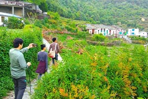 Gumti Gaon - Untouched destination in Darjeeling