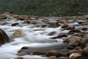 Jhalong - Low-key spot in Dooars
