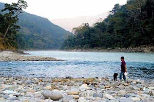 Kalijhora - Forested spot in Kalimpong