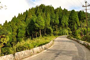 Lepchajagat - Hill escape in Darjeeling
