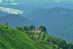 Mahaldiram - Eco-friendly location in Darjeeling