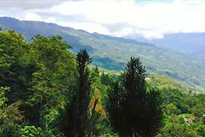 Mayrong Gaon - Hidden gem of Kalimpong